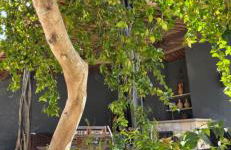 Ilha da Crôa - Barra Sto Antônio - Alagoas - Esquina Praia - Photo 22