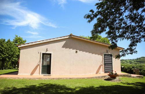 Bio Agriturismo Poggio Aione - Foto 75