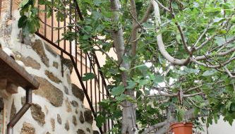 Apartametos rurales la Higuera de José - Foto 4