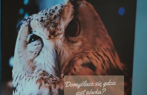 Apartamenty Pilsko Korbielów komfortowe mieszkania dla rodzin i narciarzy w Beskidach - Foto 27