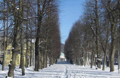 Am Living Garden - Foto 38