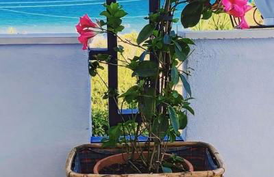 Il mare di Ciccio - Foto 22