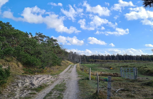 5 Star Holiday Home in Liseleje - Foto 11