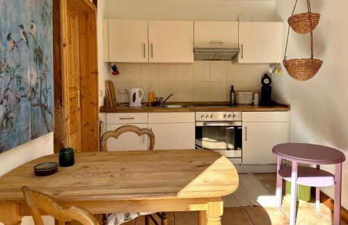 Mecklenbü mit Teich, Kamin, Sauna und Hotpott - Foto 4