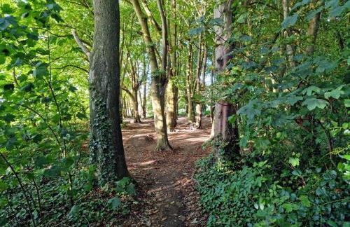 Stone's throw from beach and forest, stunning country walks - Foto 28