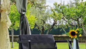 Itaca - Foto 4, Garden view