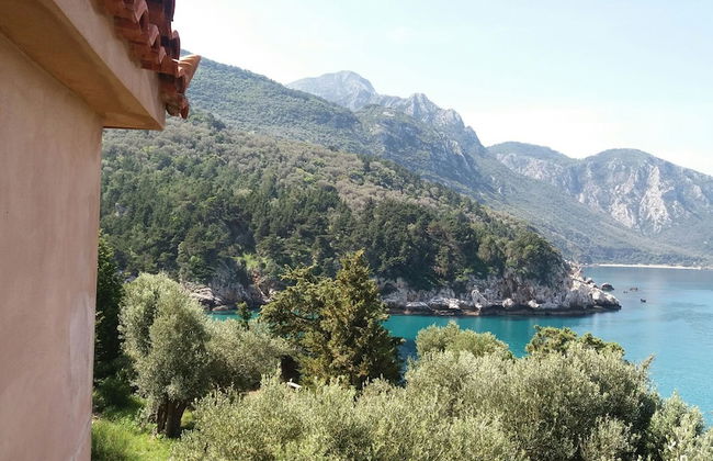 Marnei Mare - Photo 42