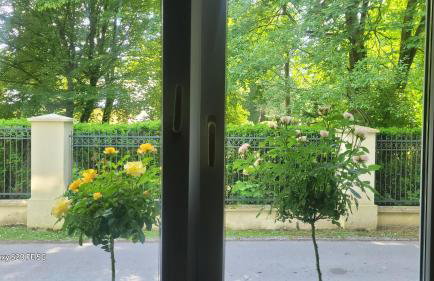 Apartament Przy Parku - Foto 12