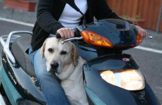 Amalfi 51 con vista mare, giardino e terrazze - Foto 24