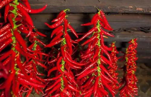 Las Casas de Lola - Foto 80