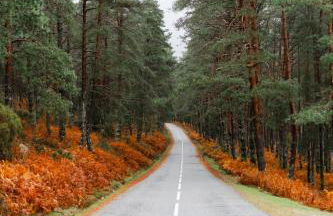 Casa do Azevim - Foto 2