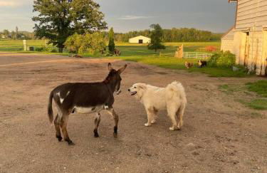 Yahweh Horse Retreat - Photo 3