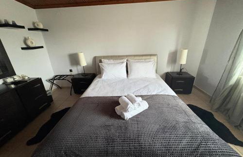 Angels Home - Photo 41