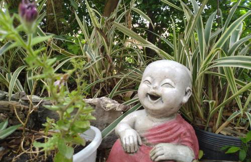 Tranquilidade e linda vista da lagoa - Foto 47