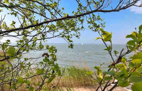 Ferienwohnung Warthe - Foto 21