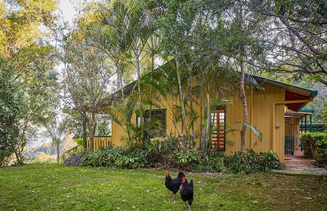 Dayboro Cottages - Photo 11