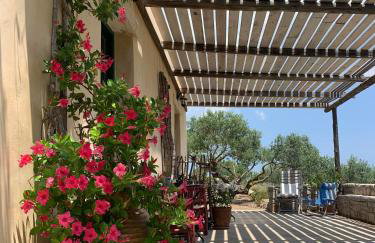 AMPELIA KYTHIRA - Foto 35