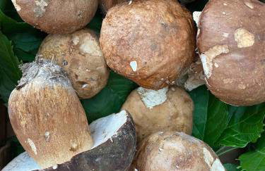 VillaMarzia - Foto 79