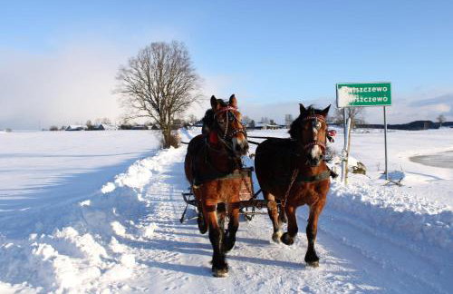 Domki na Szczycie - balia jacuzzi na wyłączność - Foto 26