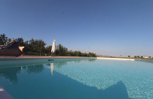 Tenuta Terre dei Latini - Foto 14