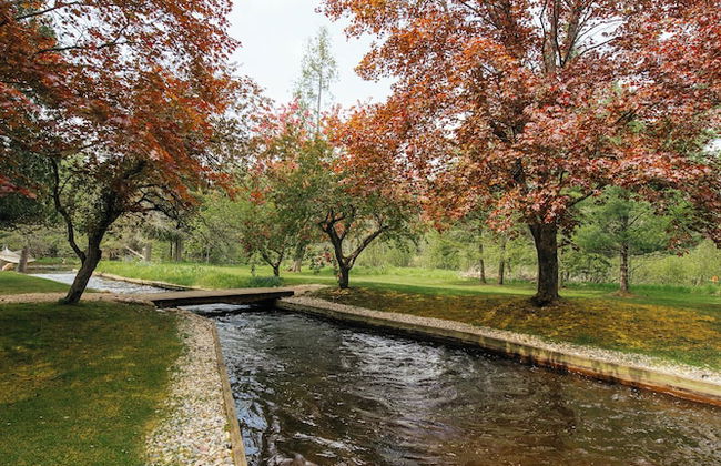 Grayling Gem Royal Stag Lodge - Foto 71