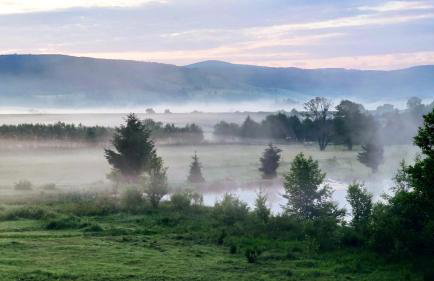 Blu Raj - domy w Sudetach - Foto 52