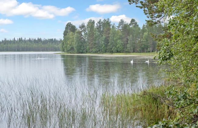 Lepokunnas - Foto 23