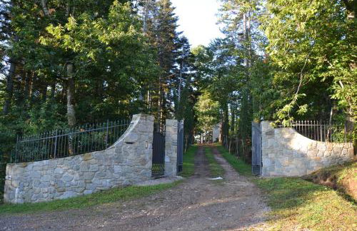 BELLA TUSCANY - Residence - Photo 49