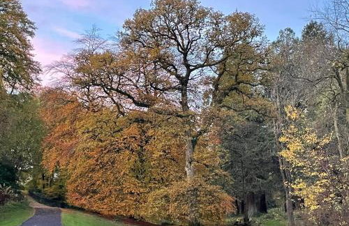 Foresters Cottage, Dalry - Foto 22