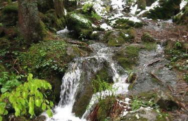 Ferienhaus Ederer - Foto 67