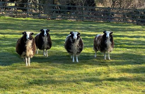 Coach House St Wenn - Foto 14