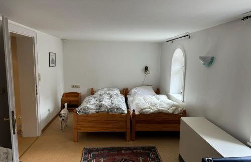 Historische Mühle am Schloss - Foto 36