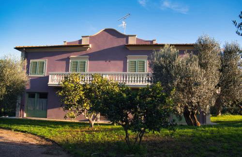 Tenuta Merlò - Foto 2