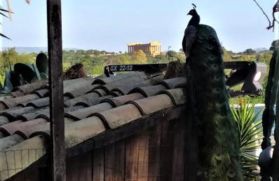 B&B Villa San Marco - Foto 1