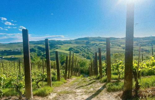 Calosso Wine View Escape - Foto 33