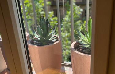 Petit Rosselló - Photo 5