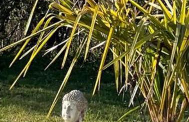 Maison à la campagne avec piscine - Foto 18