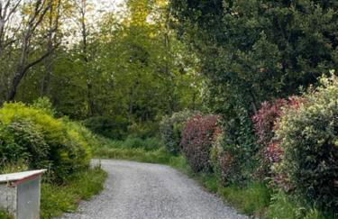 Appartamento Il Picchio Verde - Foto 24