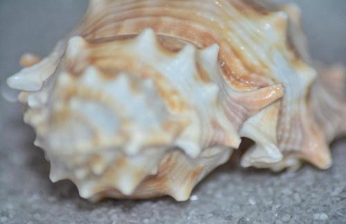 Apartment Nadoveza - Foto 36