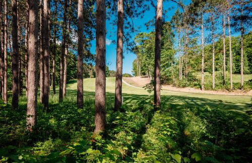 Ski From the Tee @ Crystal Mountain - Foto 33