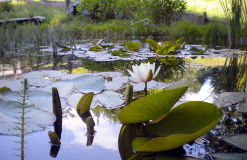 Studio Luise - Foto 28