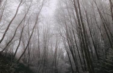 Apartment mit Blick ins Grüne - Foto 27