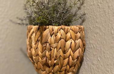 K2-Project - Dschungel-Abenteuer - Foto 13