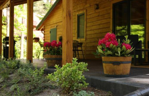 Na Las Czas, Wilga - Foto 38