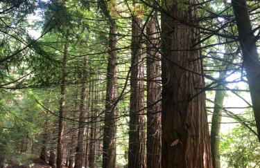 Valmar Resort Apartment - Photo 44