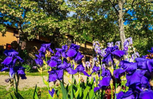 Agriturismo Verde Oliva - Foto 12