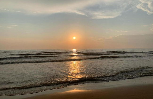 Luxurious Apartment Near the Pleasant Centre of Bergen - Foto 30