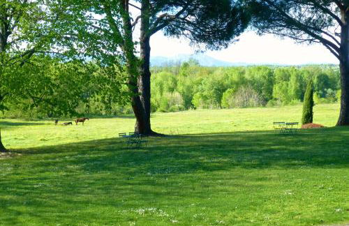 Gîtes Château de la Selve - Foto 15