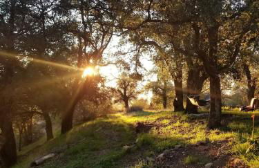 Cozy Rustic Mountain Home with Breathtaking views - Foto 29