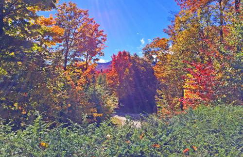 Killington Cabin - Right Unit - Sleeps 10 in 4 BR, 2 BA Cozy Escape - Foto 35